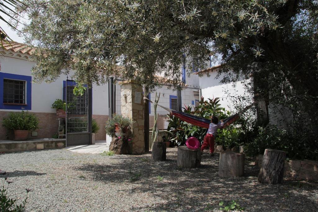 Casa Rural La Noria La Escucha Exteriör bild